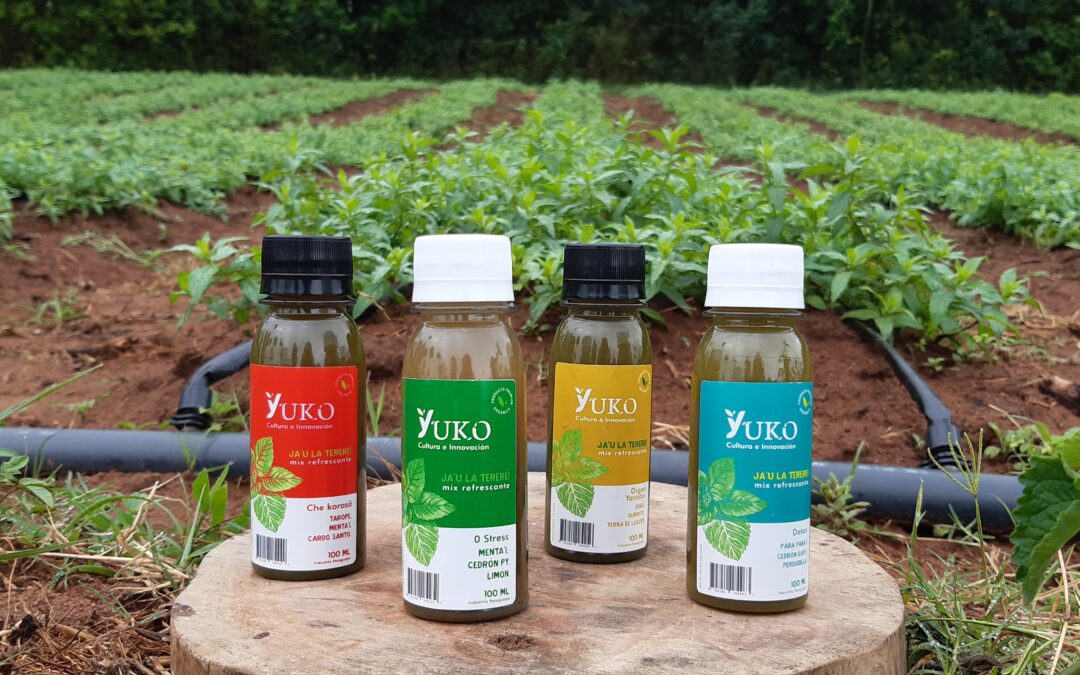 Yuko: Tradición y bienestar natural en la cima del éxito